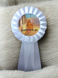 Hobby Horse rosette - 2