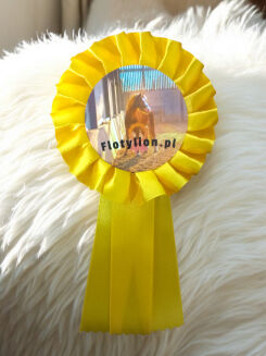 Hobby Horse rosette - 3