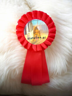 Hobby Horse rosette - 4