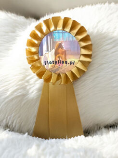 Hobby Horse rosette - 5