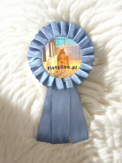 Hobby Horse rosette - 6