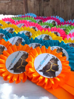 Hobby Horse rosette - 8
