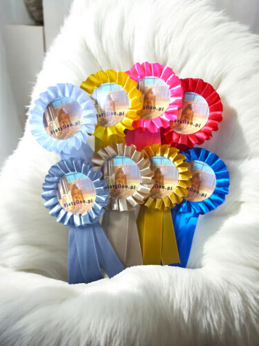 Kotylion Hobby Horse