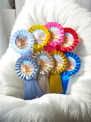 Kotylion Hobby Horse