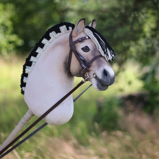Hobby Horse - co to jest?