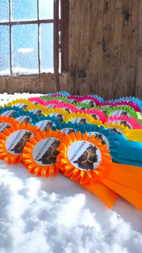 Kotyliony na obozy jeździeckie – wyjątkowa pamiątka i nagroda dla uczestników